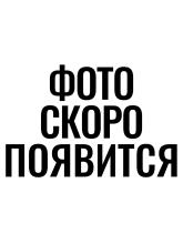 Кронштейн «Лапка-2» СВД/Тигр для установки сошек